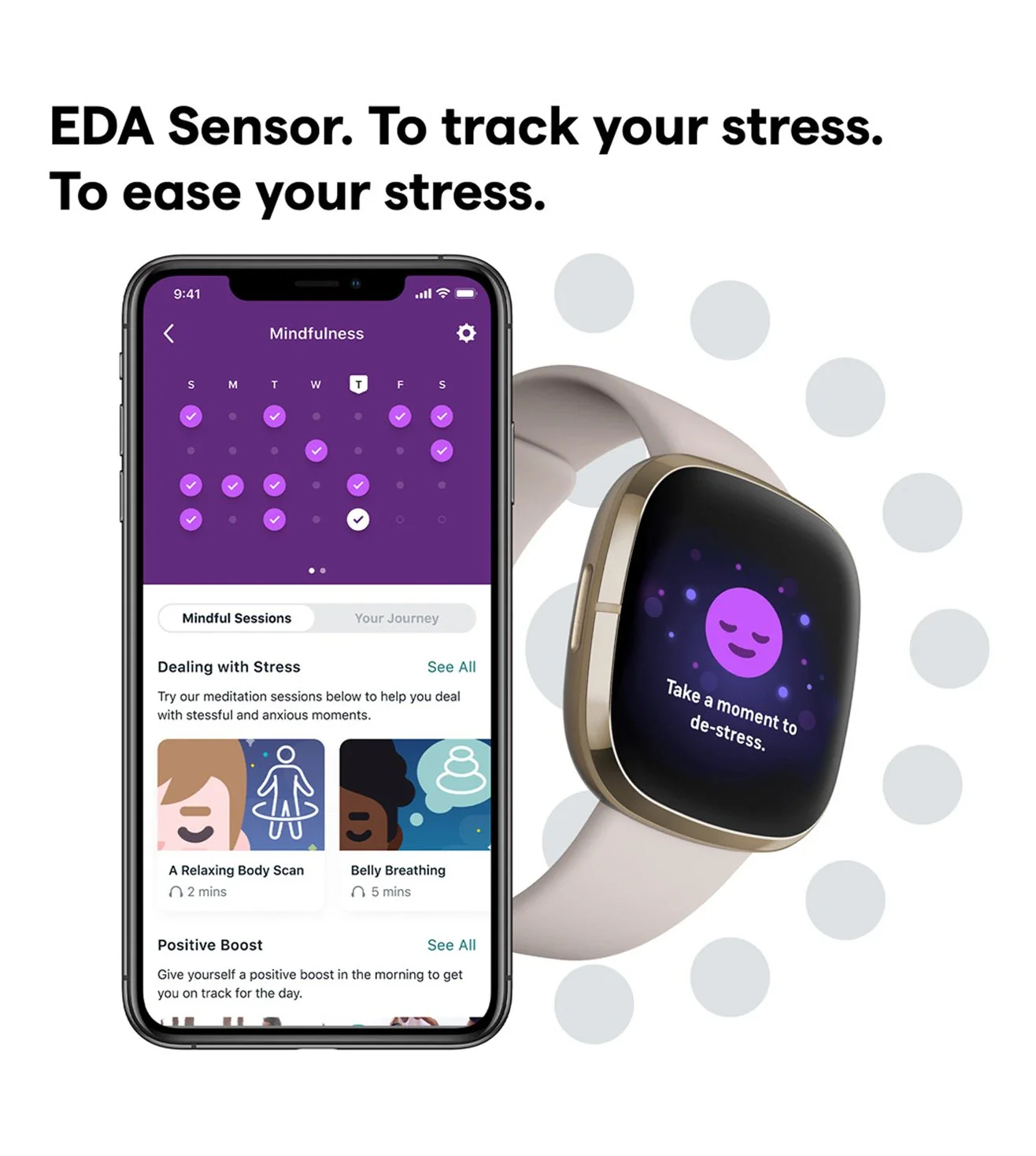 FB512GLWT | FITBIT Sense Smart Watch for Unisex - Image 2
