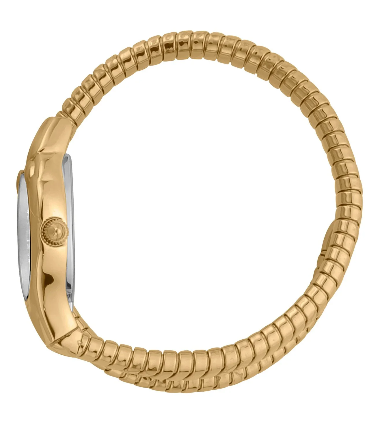 JC1L186M0035 | JUST CAVALLI Snake Analog Watch for Women - Image 3