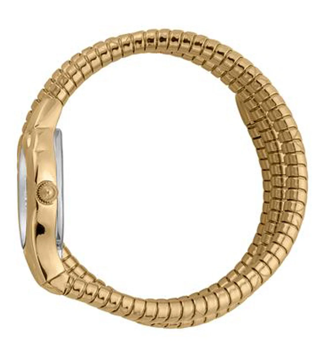 JC1L189M0035 | JUST CAVALLI Snake Analog Watch for Women - Image 3