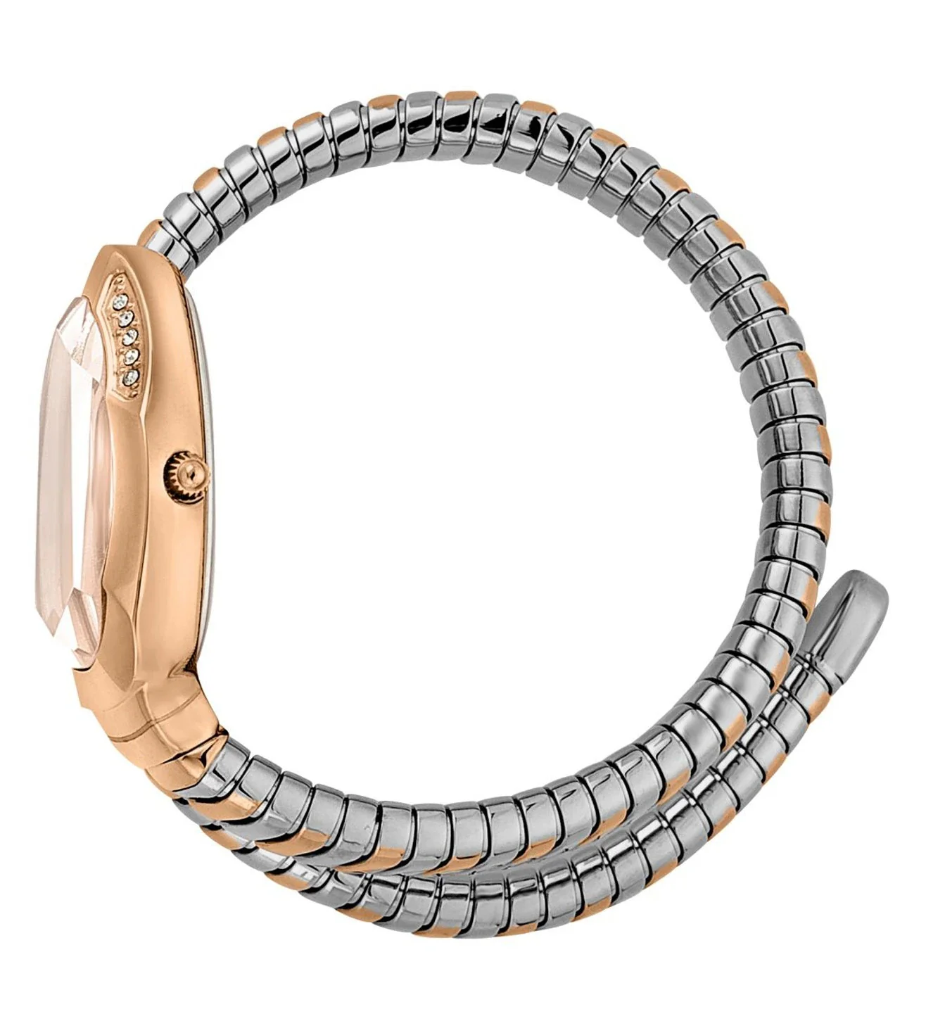 JC1L208M0075 | JUST CAVALLI Serpente Metallica Watch for Women - Image 3