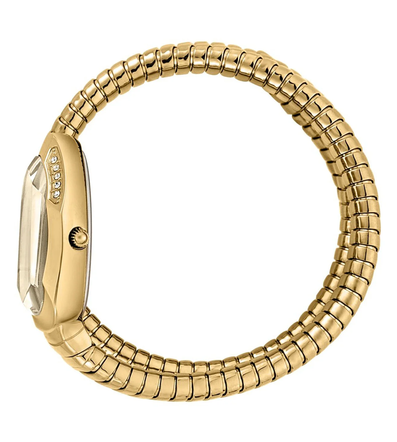 JC1L209M0035 | JUST CAVALLI Serpente Watch for Women - Image 3