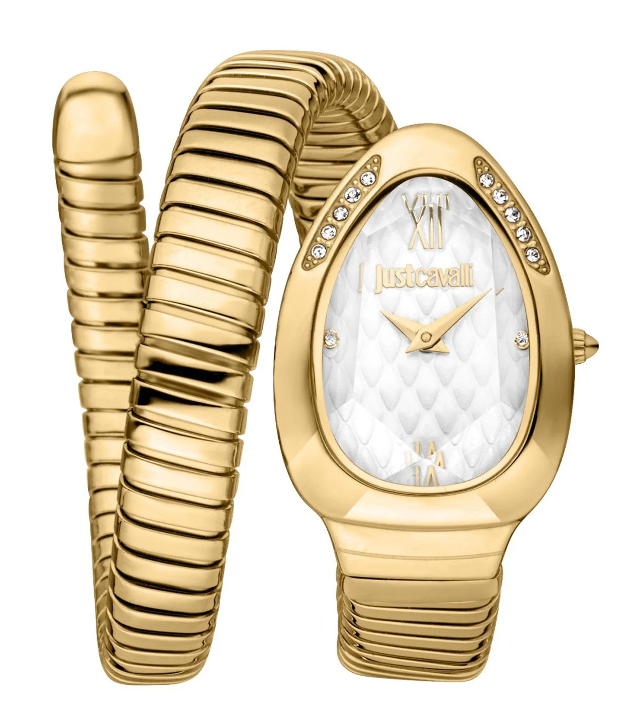 JC1L223M0025 | JUST CAVALLI Taglio Solo Watch for Women