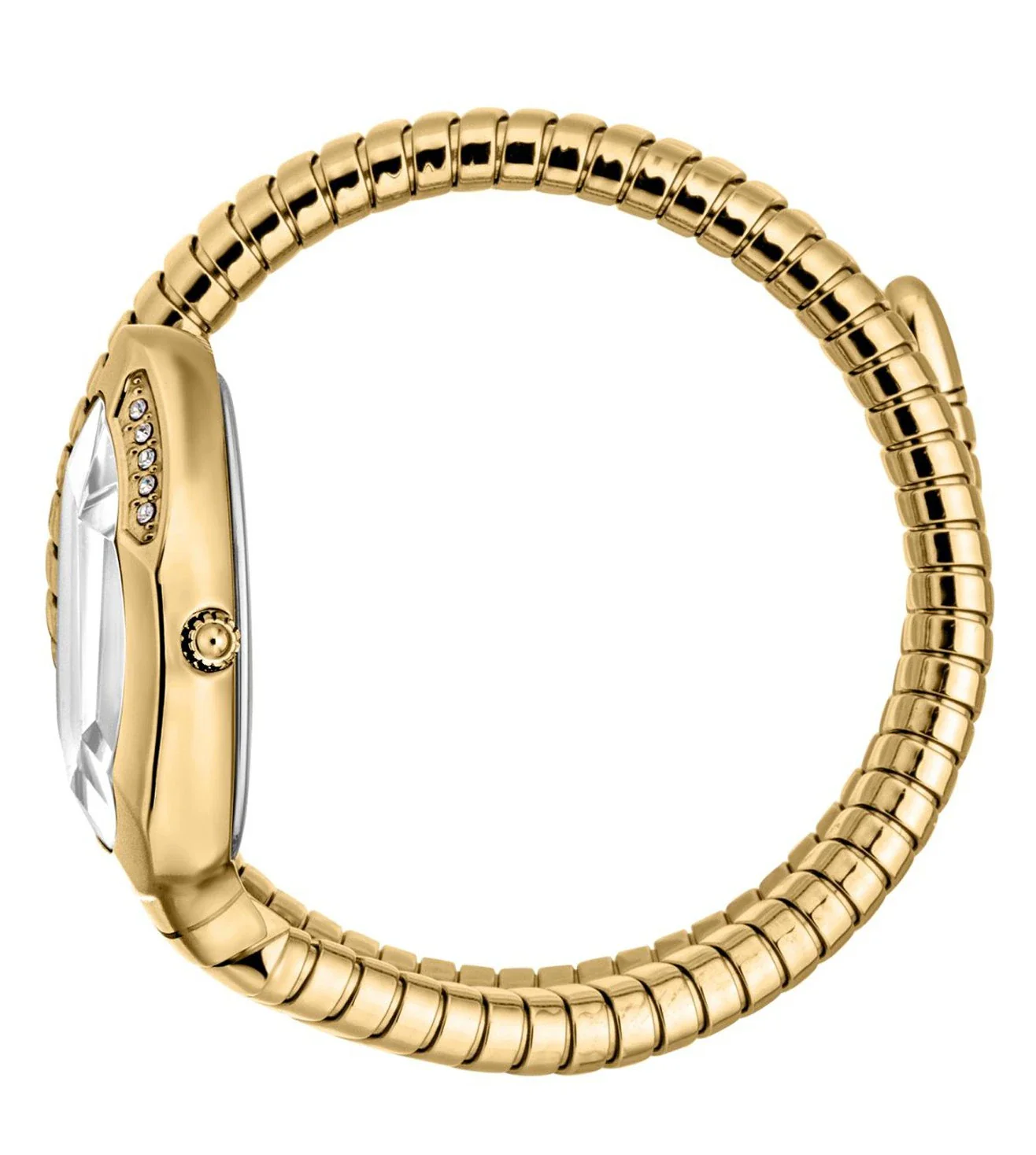 JC1L223M0025 | JUST CAVALLI Taglio Solo Watch for Women - Image 3