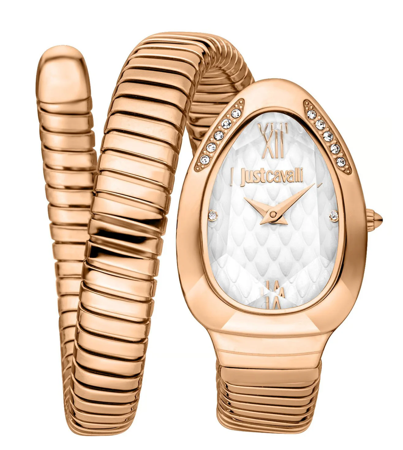 JC1L223M0045 | Just Cavalli Taglio Solo Watch for Women