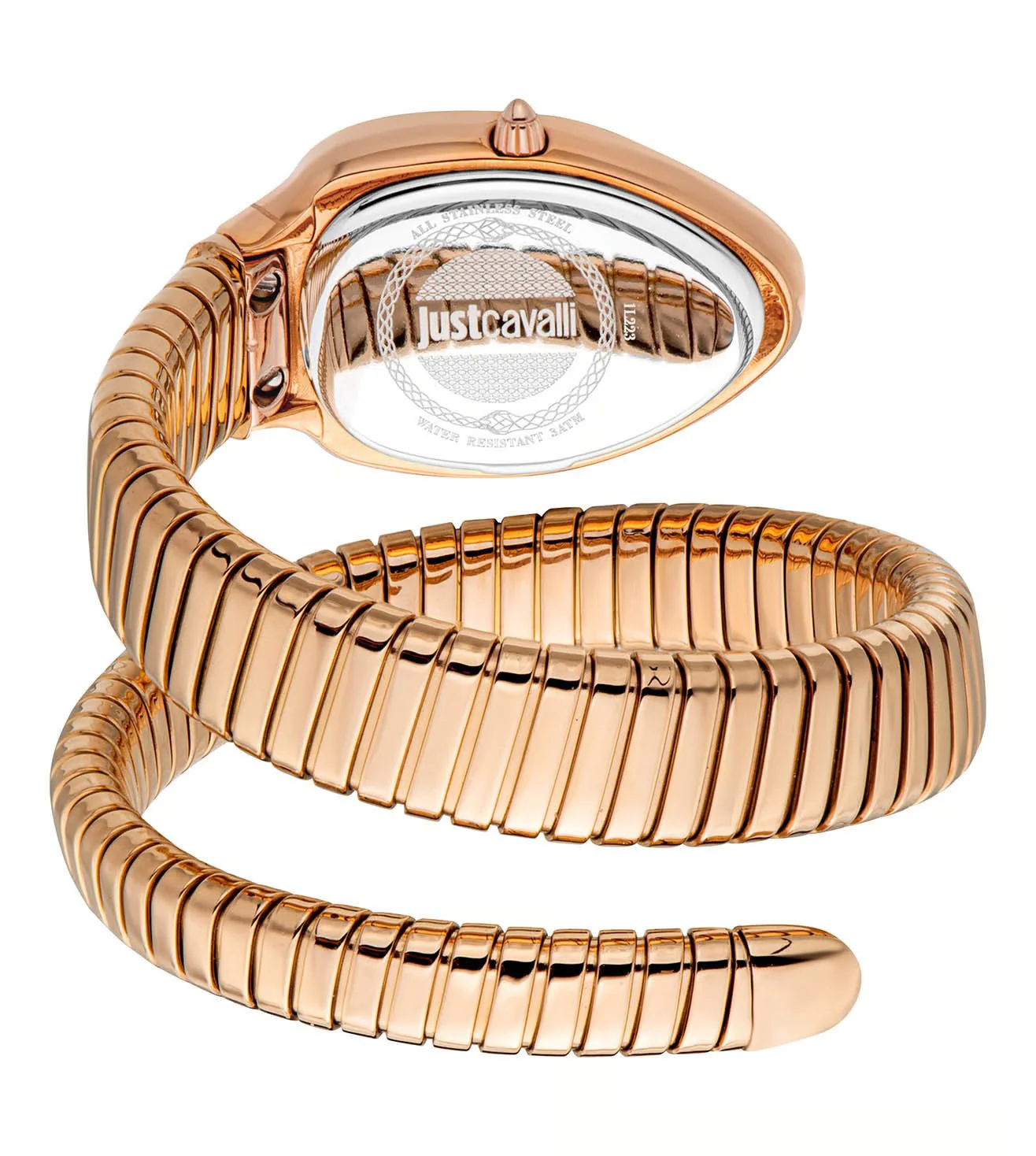 JC1L223M0045 | Just Cavalli Taglio Solo Watch for Women - Image 2