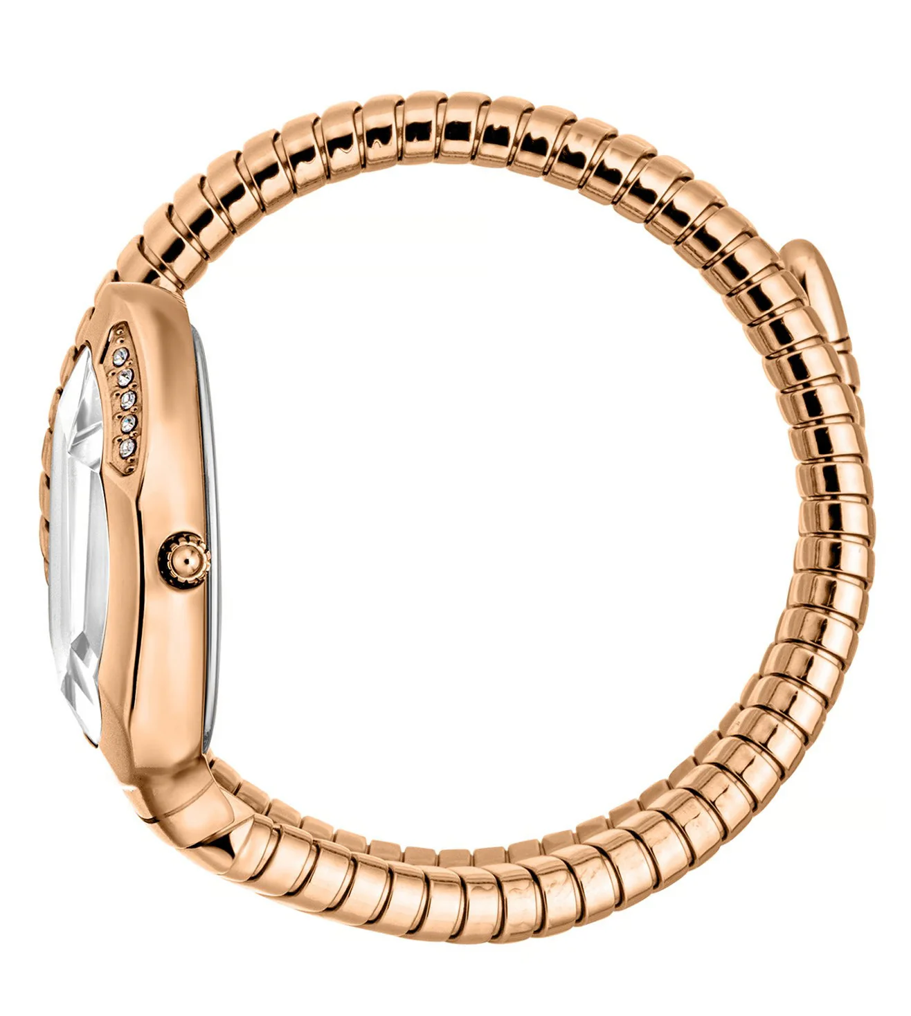 JC1L223M0045 | Just Cavalli Taglio Solo Watch for Women - Image 3