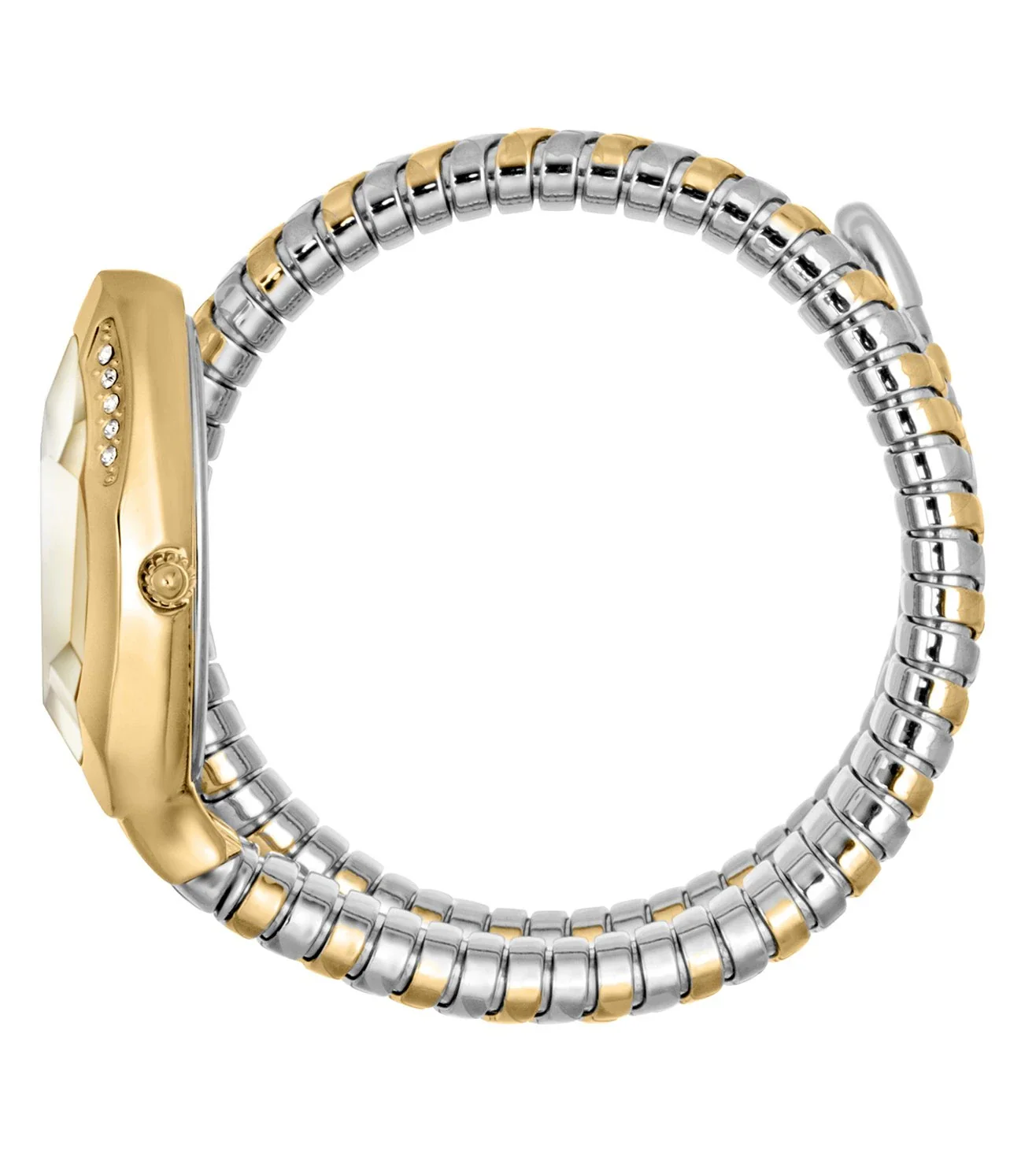 JC1L225M0085 | JUST CAVALLI Just Glam Evo 8 Family Watch for Women - Image 2