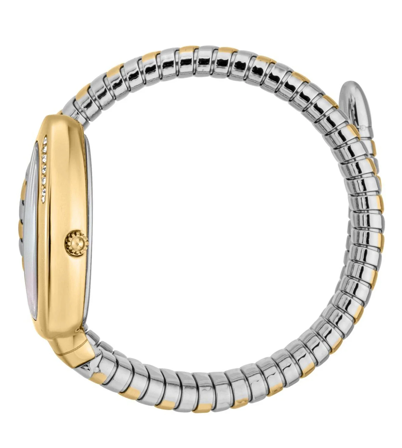 JC1L227M0065 | JUST CAVALLI Serpente Logo Watch for Women - Image 2