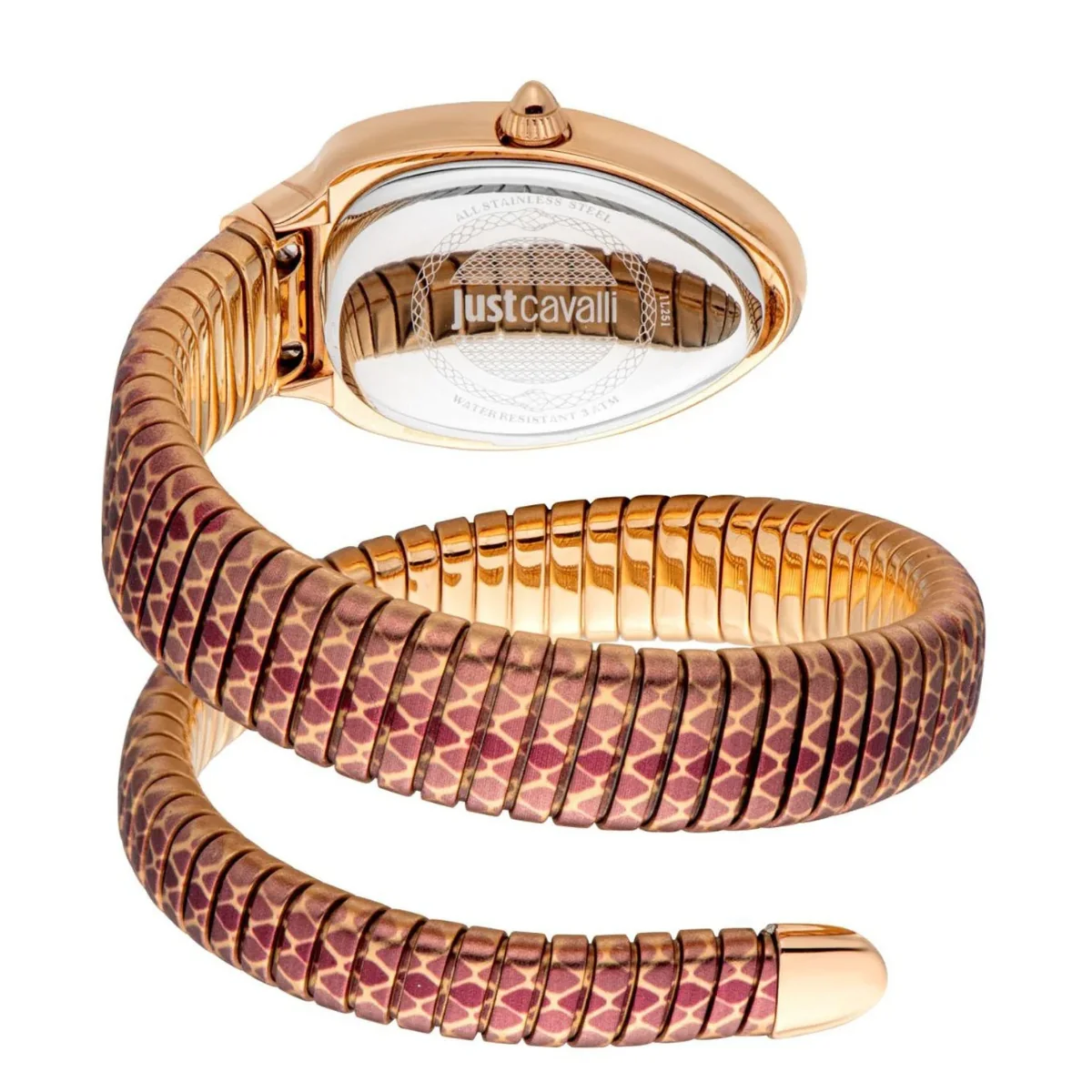 JUST CAVALLI Pelle Solo Watch for Women - JC1L251M0065 - Image 2