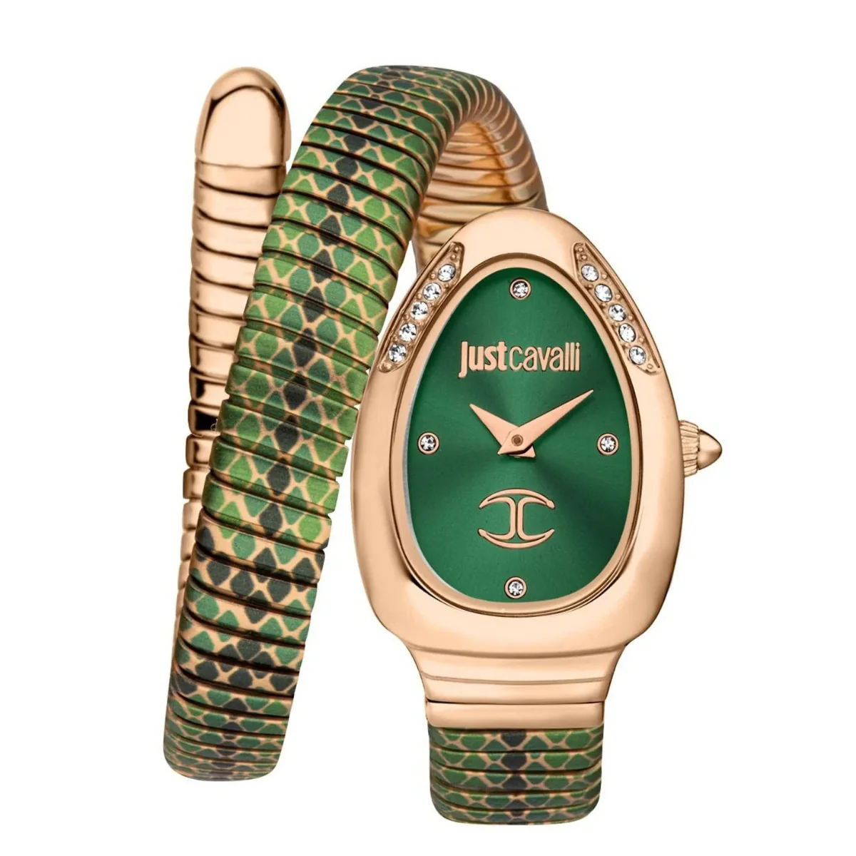 JUST CAVALLI Pelle Solo Watch for Women - JC1L251M0075