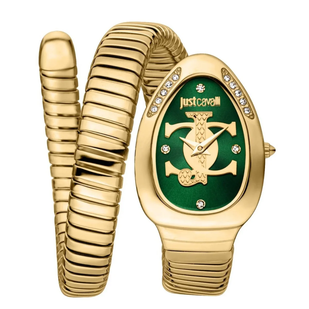 Just Cavalli Oval Green Dial Analog Watch For Women JC1L227M0045