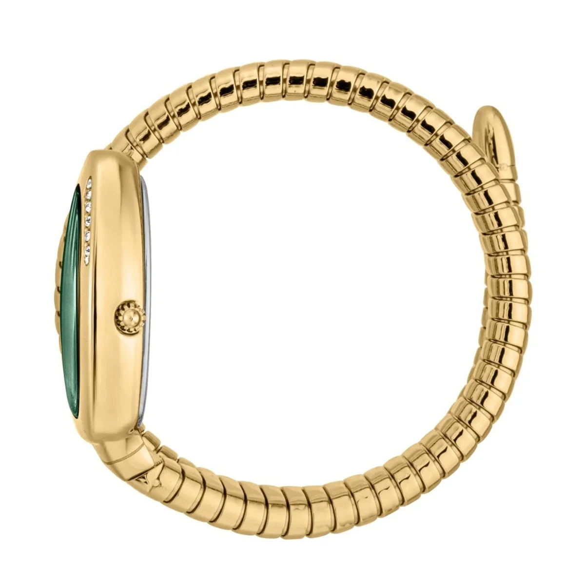 Just Cavalli Oval Green Dial Analog Watch For Women JC1L227M0045 - Image 3