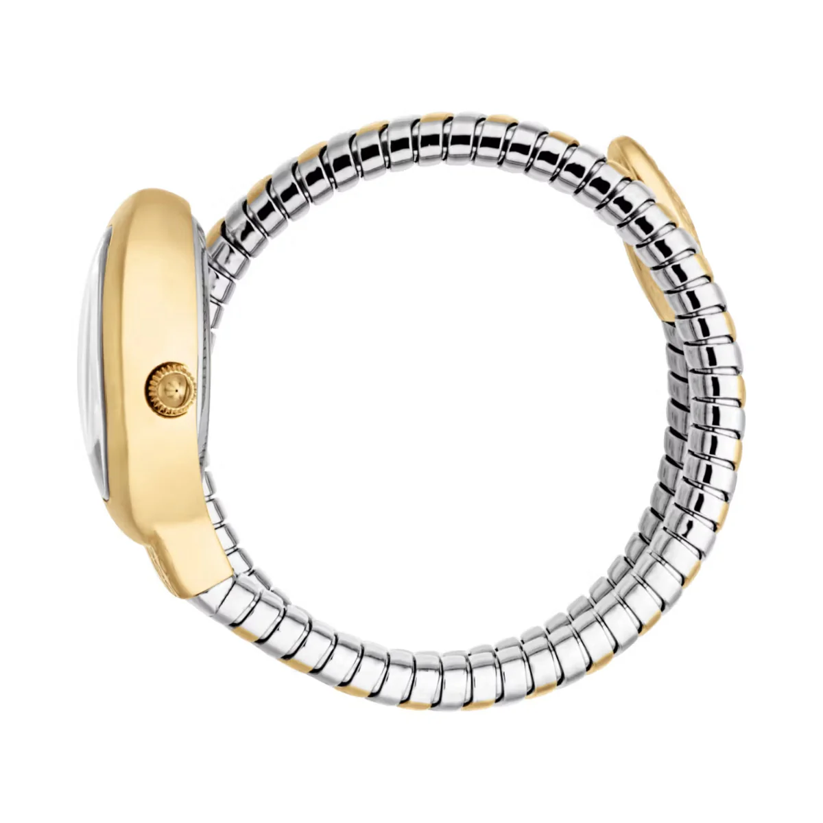 Just Cavalli Eclisse Oval Silver Dial Analog Watch For Women JC1L371M0065 - Image 3