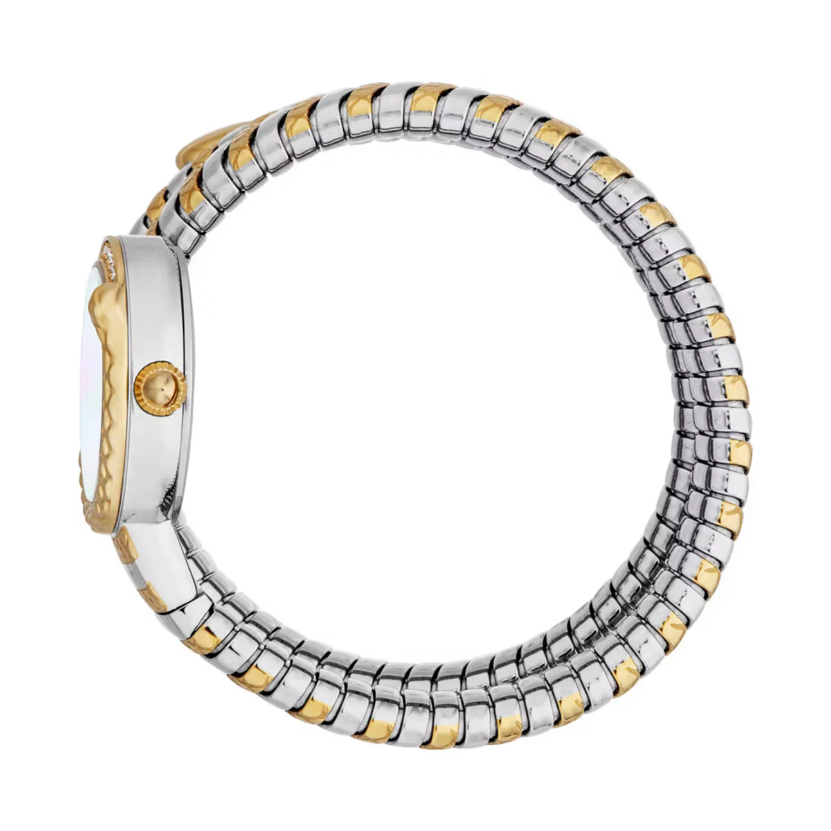 Just Cavalli Enchanting Mother of Pearl Dial Analog Women Watch JC1L302M0055 - Image 3