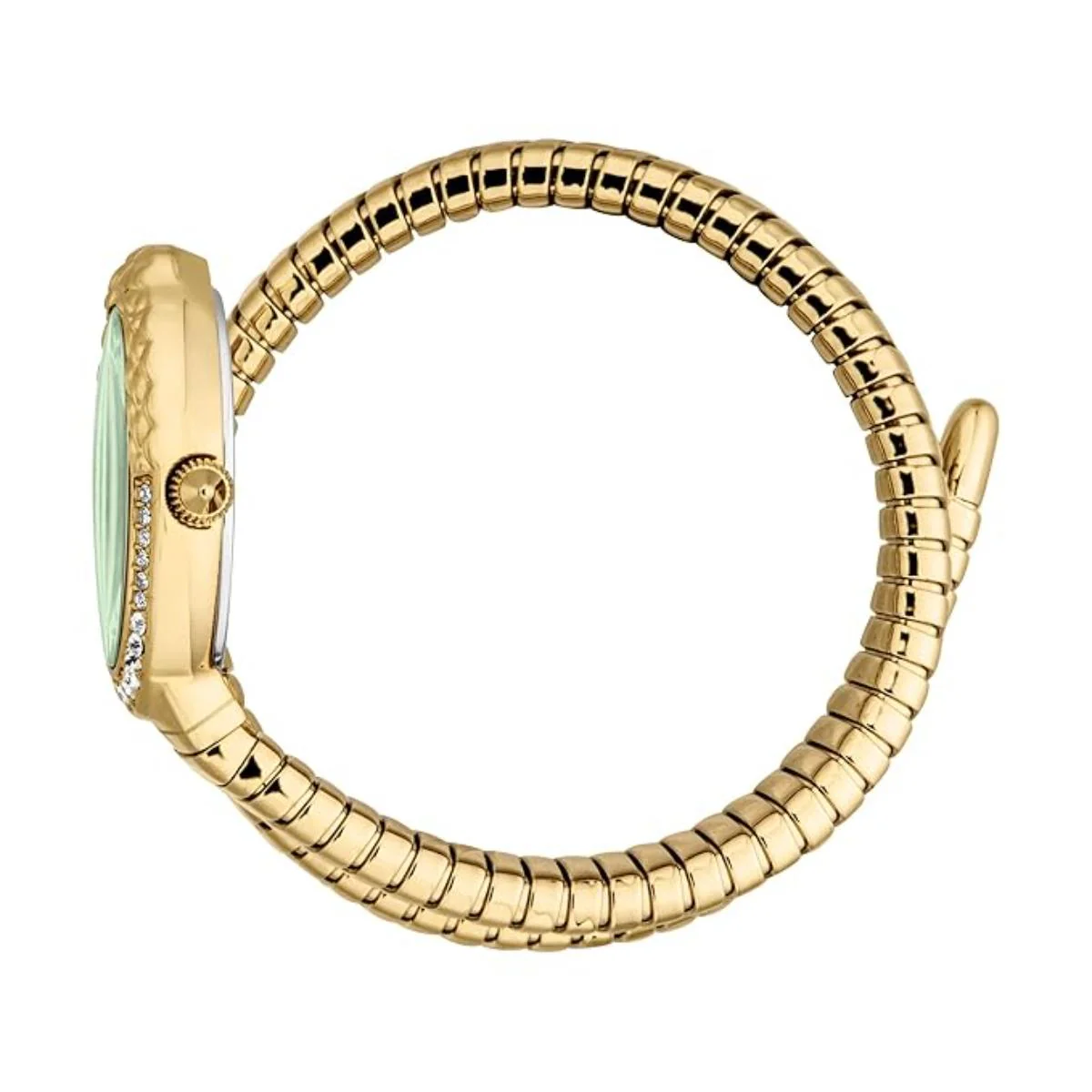 Just Cavalli Fiore Green Dial Analog Watch For Women JC1L390M0035 - Image 3