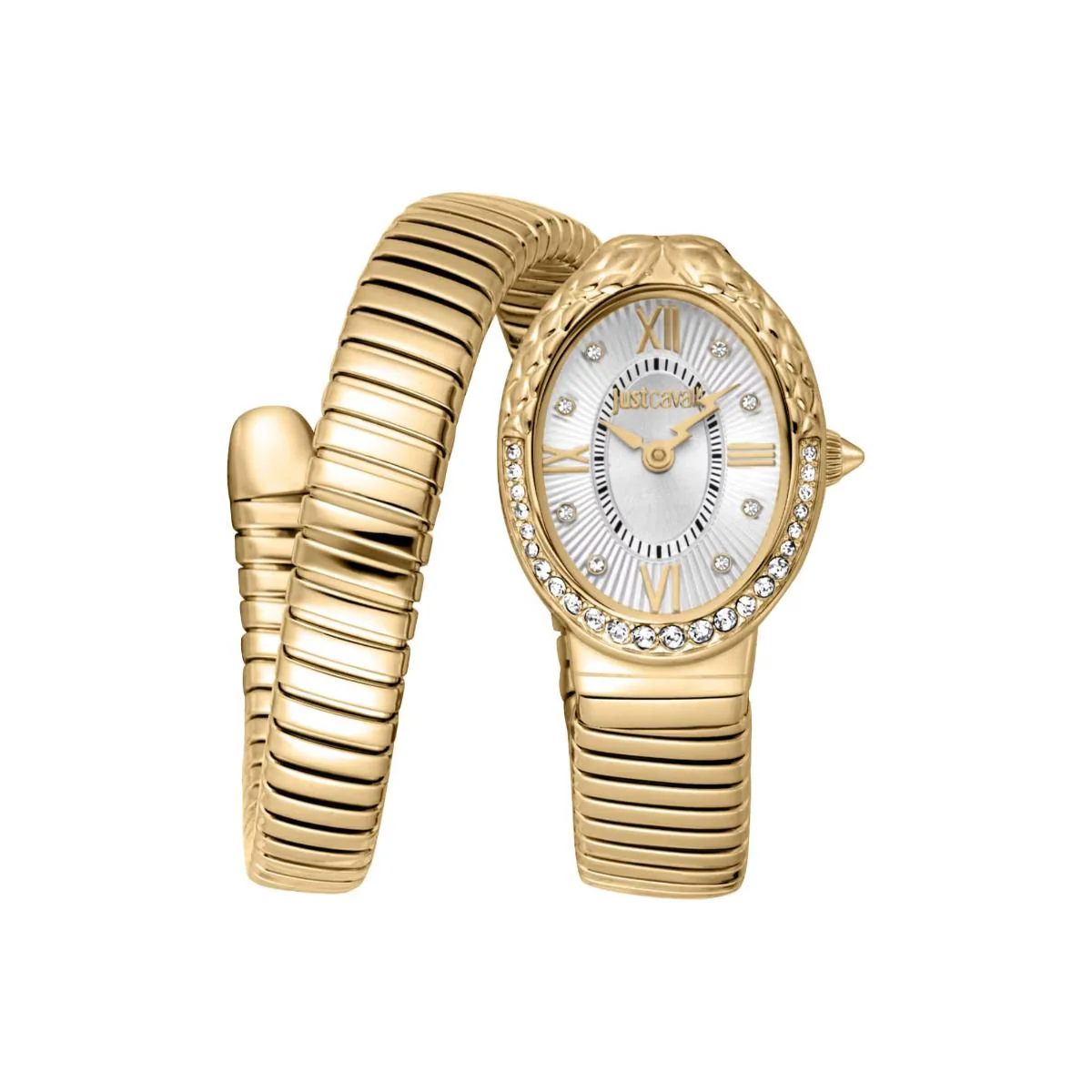 Just Cavalli Fiore Silver Dial Analog Women's Watch JC1L390M0025