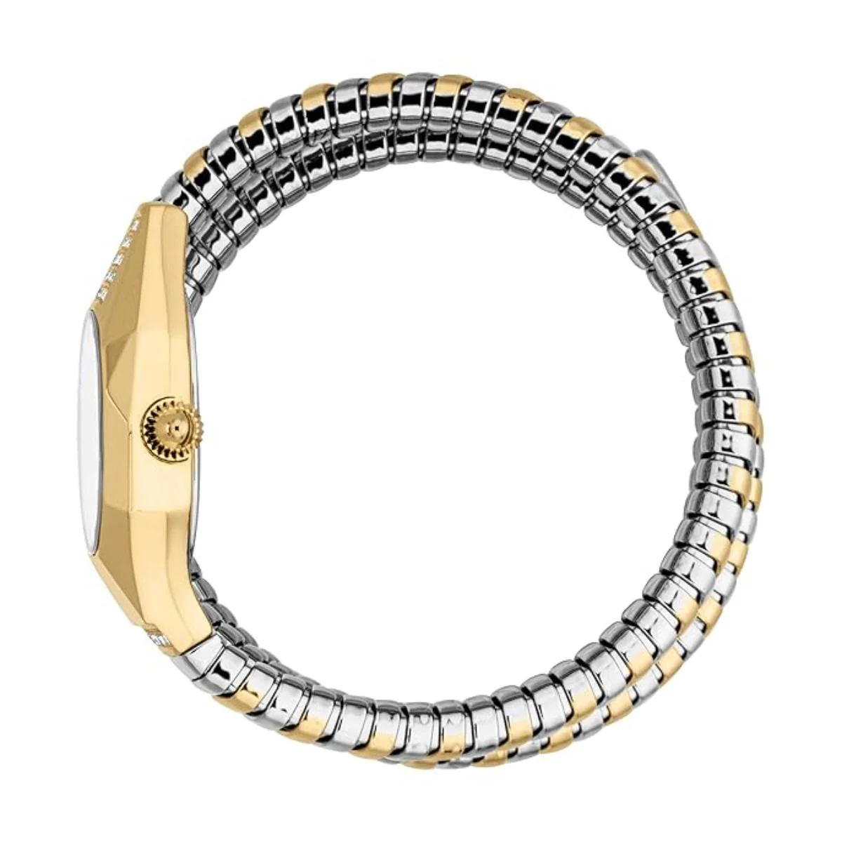 Just Cavalli Lunara Oval Silver Analog Women's Watch JC1L397M0065 - Image 3