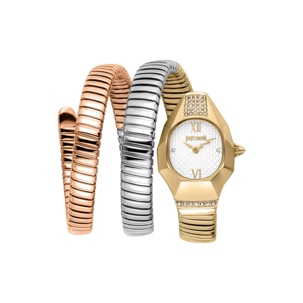 Just Cavalli Lunara Silver Dial Analog Two Tone Women's Watch JC1L397M0095
