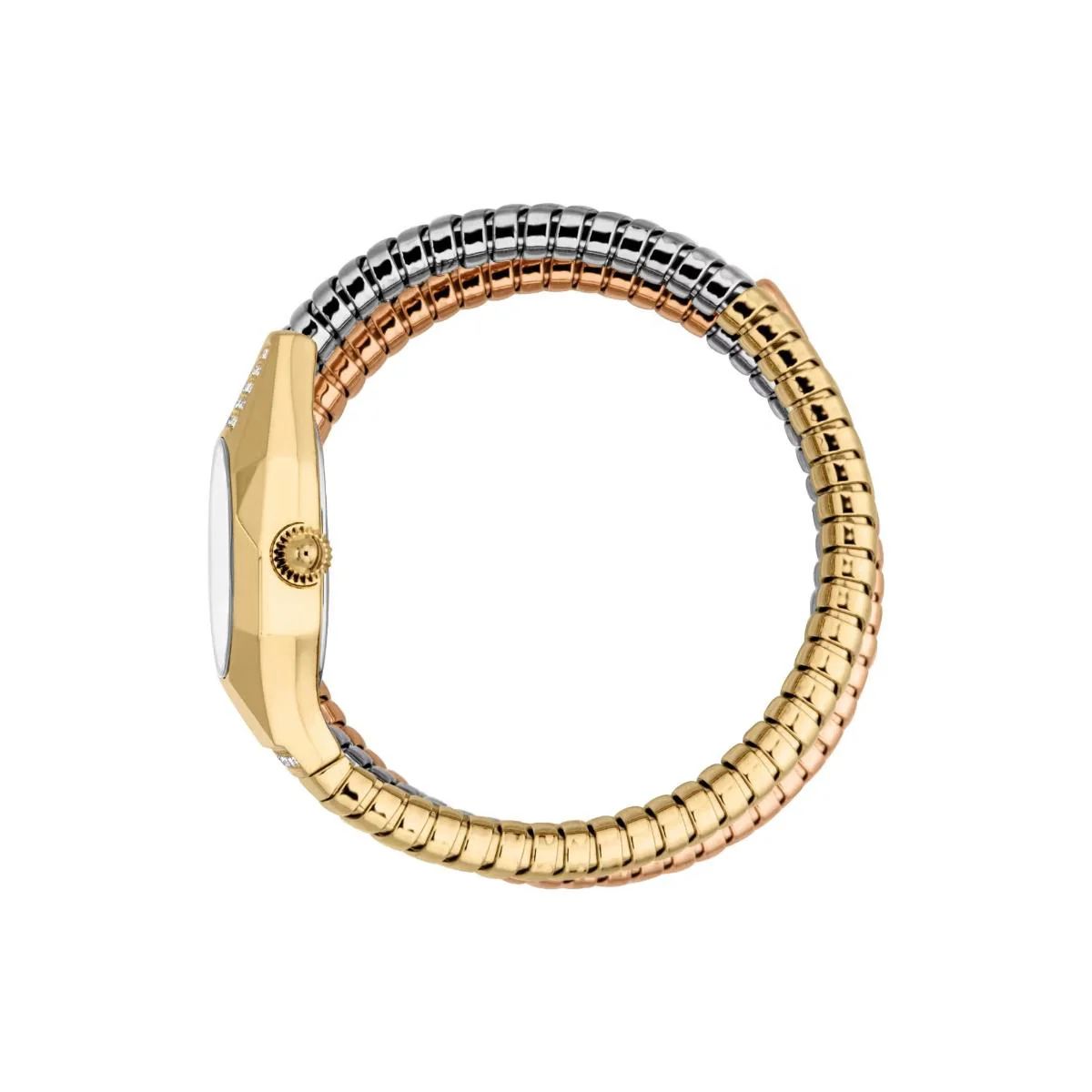 Just Cavalli Lunara Silver Dial Analog Two Tone Women's Watch JC1L397M0095 - Image 3