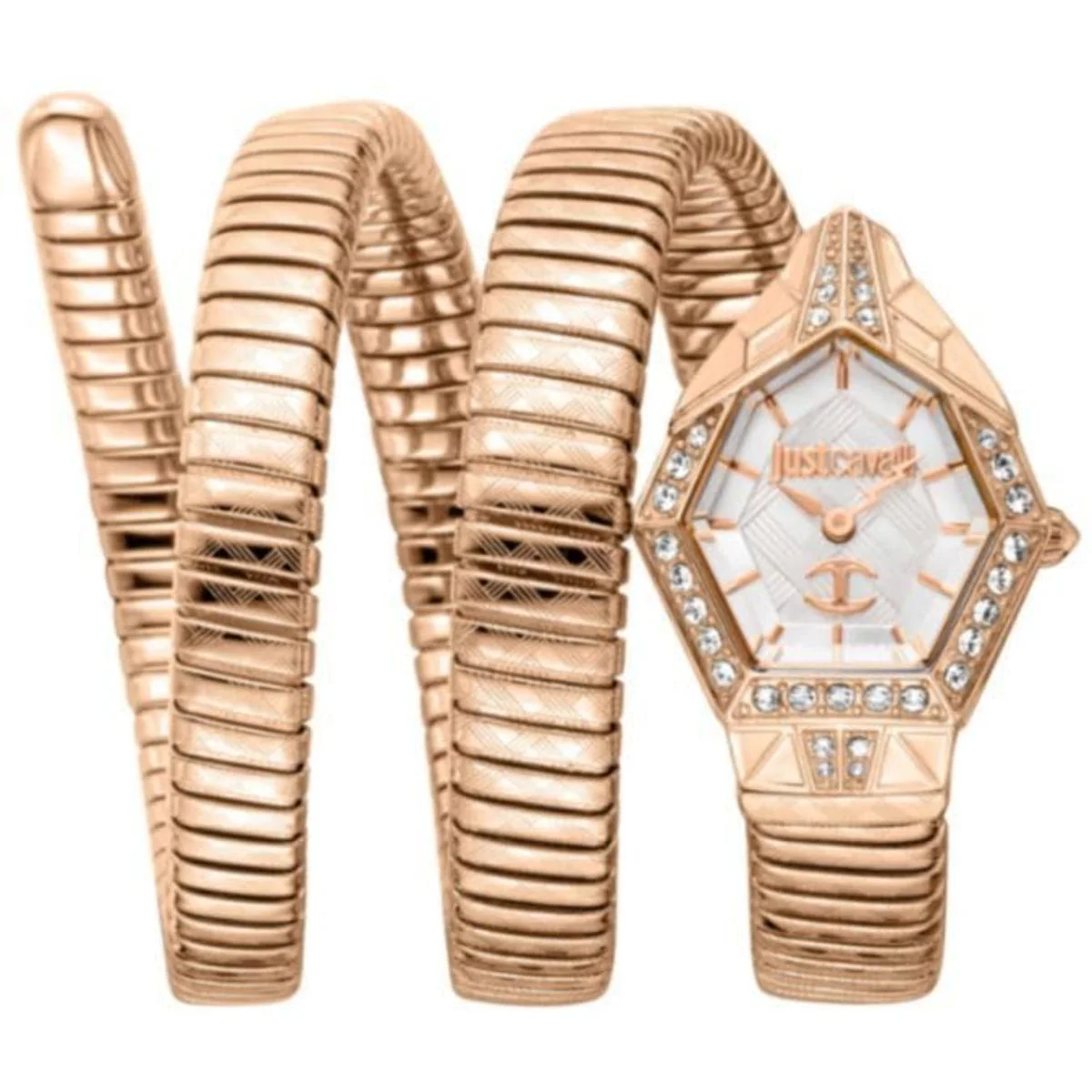 Just Cavalli Quartz Silver Dial Analog Watch For Women JC1L304M0085