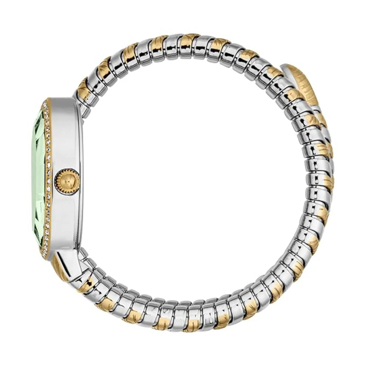 Just Cavalli Quartz Velina Dark Green Dial Analog Women's Watch JC1L353M0065 - Image 3