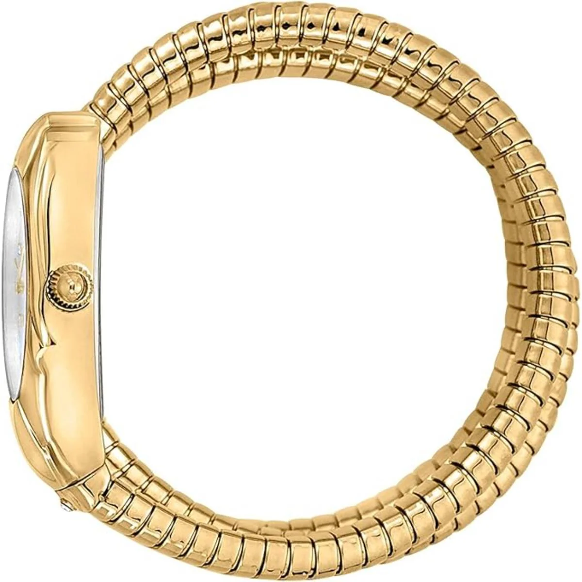 Just Cavalli Serpente Nobile Mother of Pearl Dial Women's Watch JC1L185M0015 - Image 3