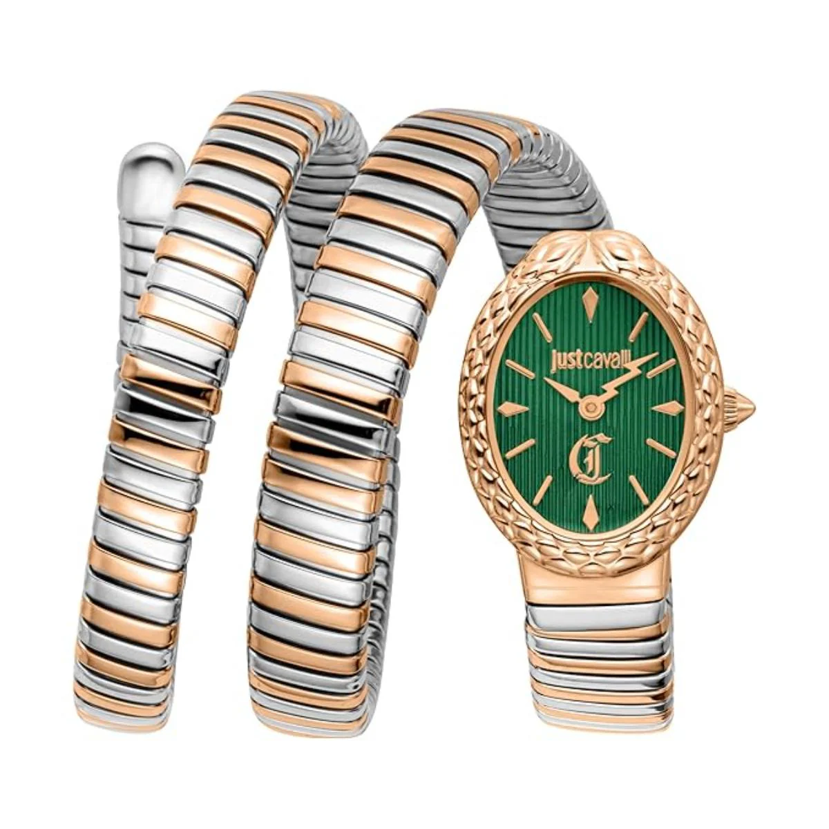 Just Cavalli Sognia Green Dial Analog Two Tone Women's Watch JC1L391M0085
