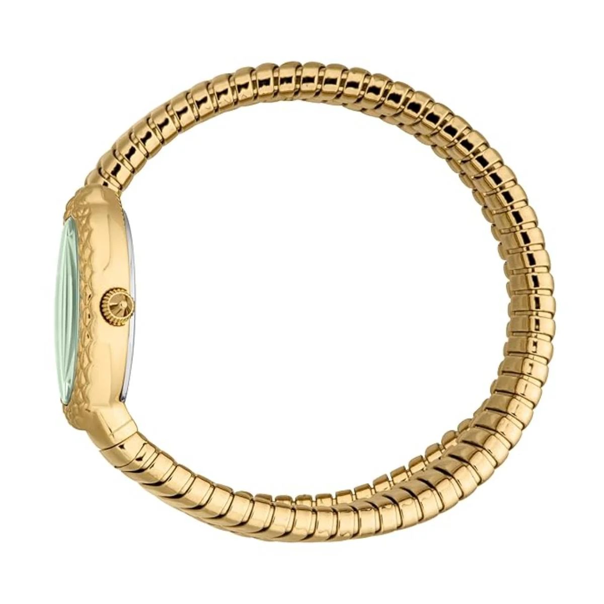 Just Cavalli Sognia Green Dial Analog Women's Watch JC1L391M0075 - Image 3