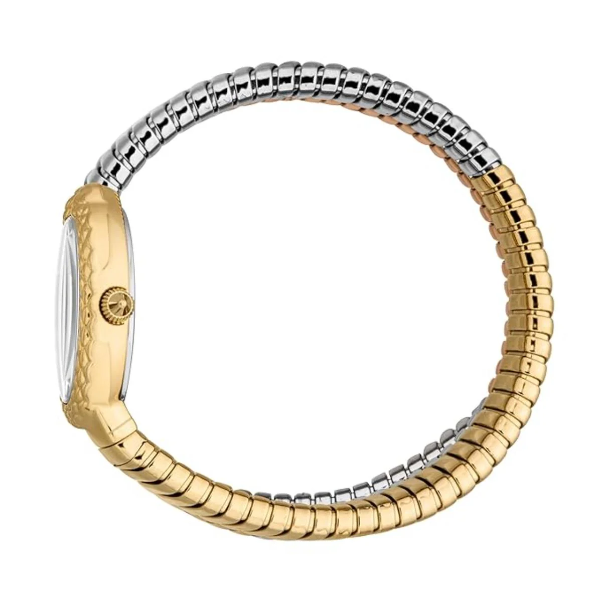 Just Cavalli Sognia Silver Dial Analog Women's Watch JC1L391M0065 - Image 3