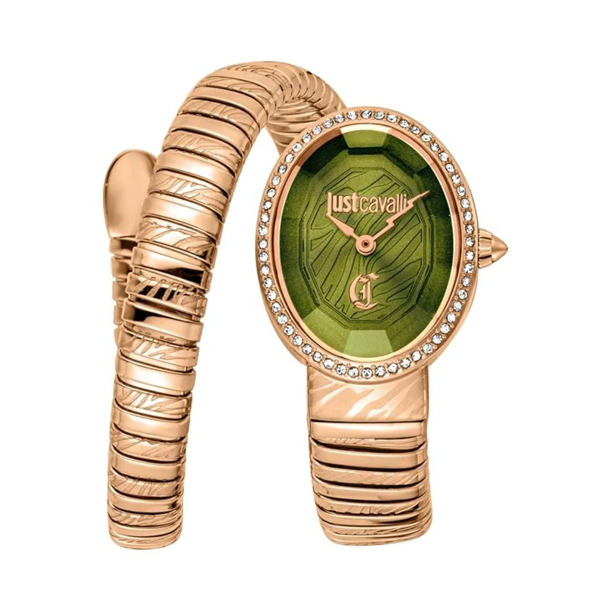 Just Cavalli Velina Olvie Dial Analog Watch For Women JC1L353M0095