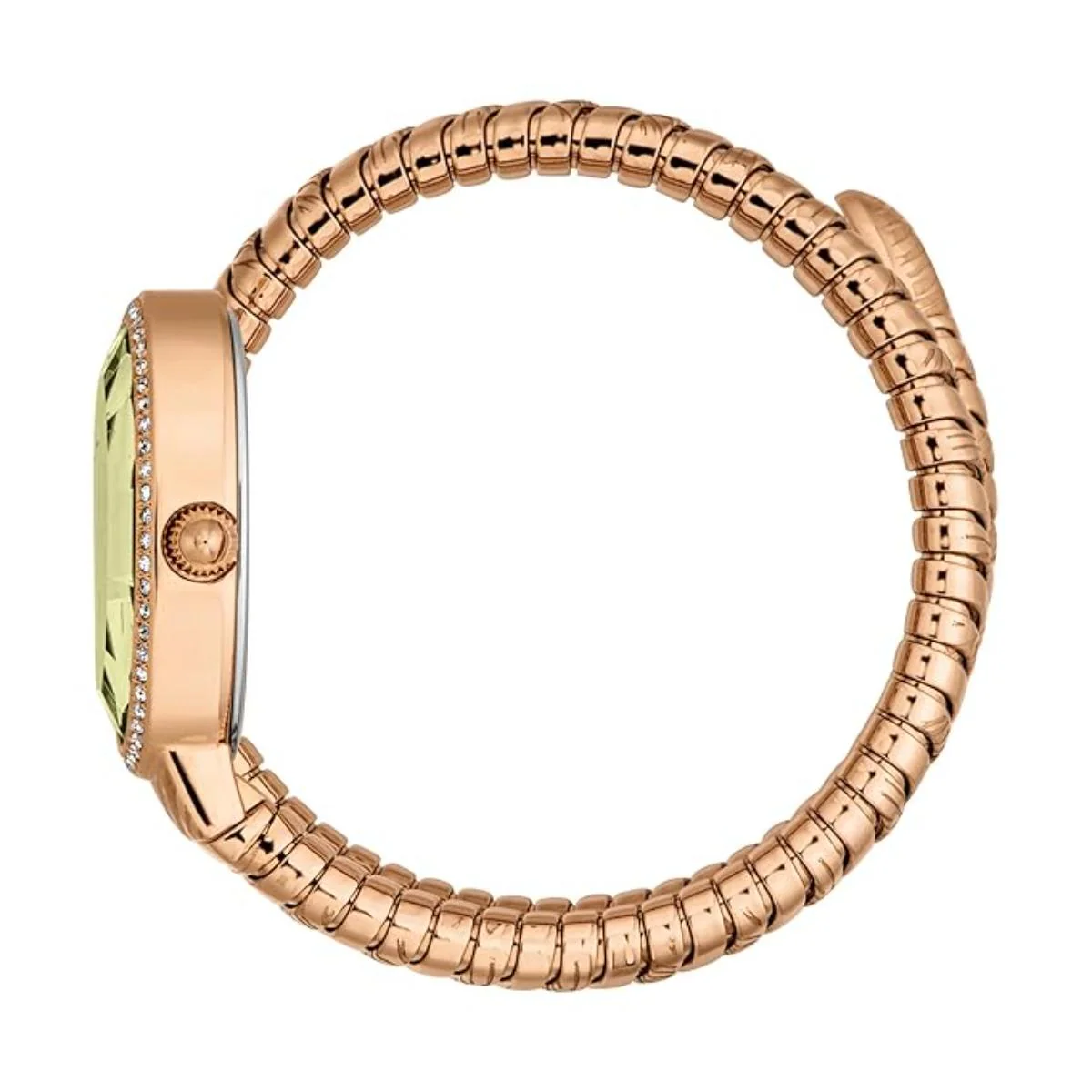 Just Cavalli Velina Olvie Dial Analog Watch For Women JC1L353M0095 - Image 3