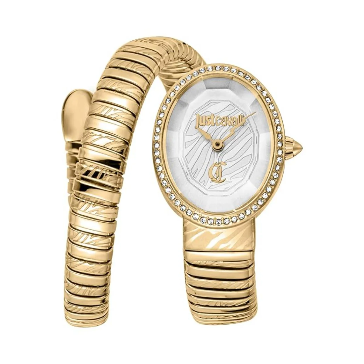 Just Cavalli Velina Silver Dial Analog Women's Watch JC1L353M0025