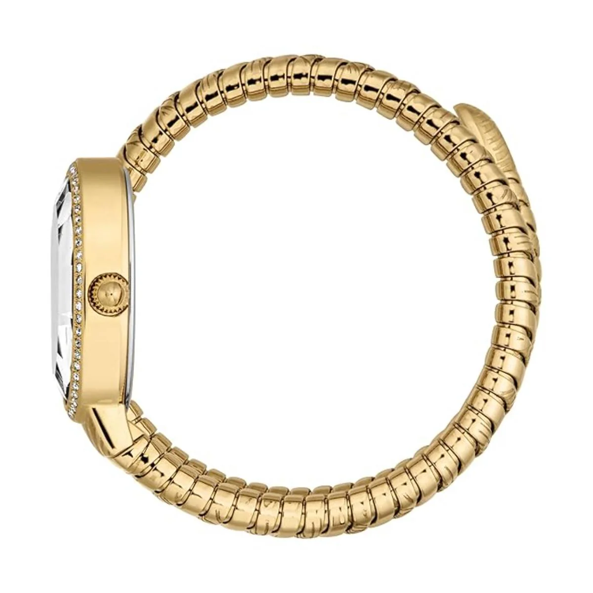 Just Cavalli Velina Silver Dial Analog Women's Watch JC1L353M0025 - Image 3