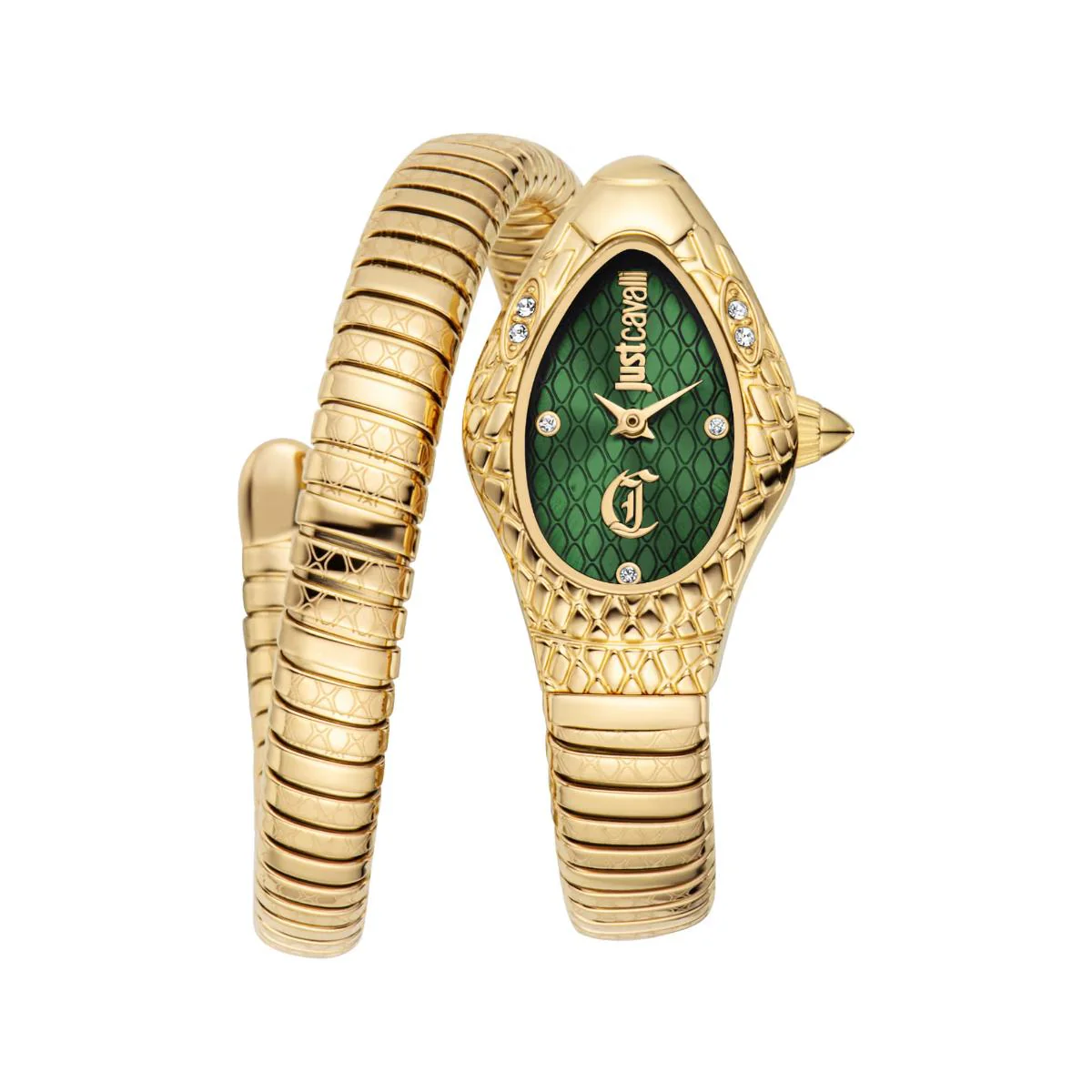 Just Cavalli Vetra Green Dial Analog Women's Watch JC1L373M1035