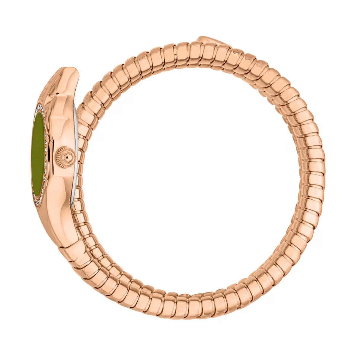 Just Cavalli Vita Green Dial Stainless Steel Analogue Women Watch JC1L355M0045 - Image 2