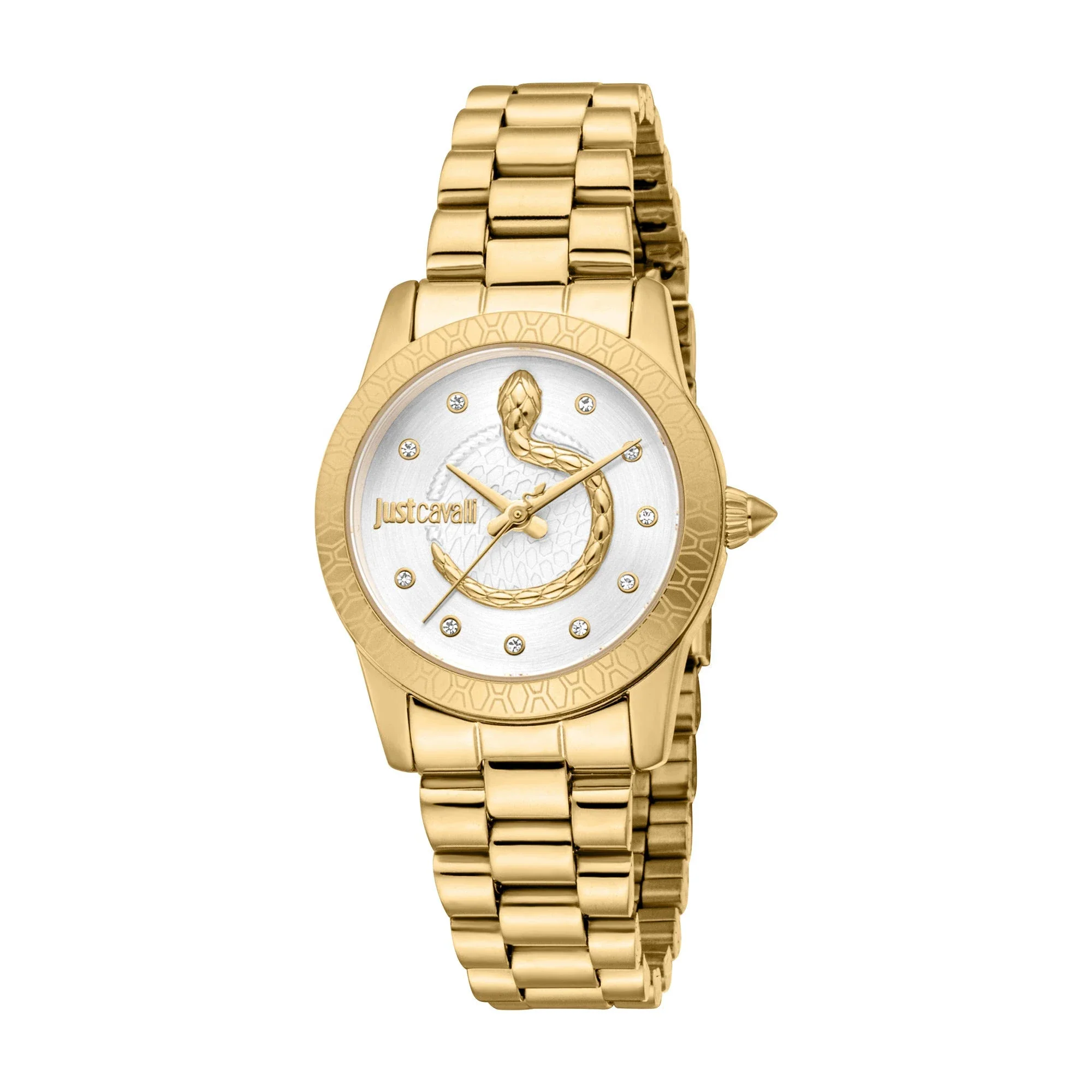 Just Cavalli Women Eterna Silver Dial Analog Watch - JC1L359M0055